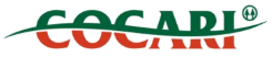 Cocari